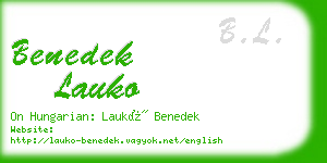 benedek lauko business card